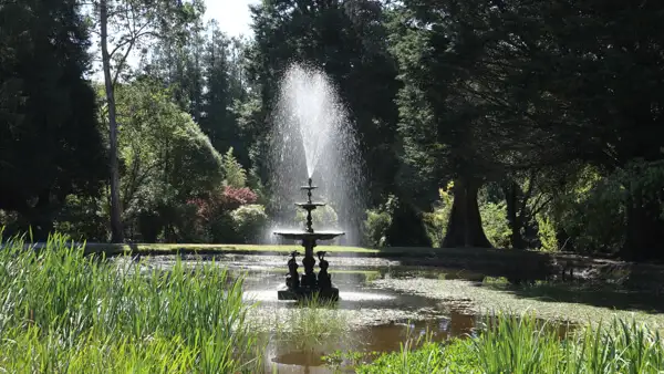 Dolphin Pond im Powerscourt Estate