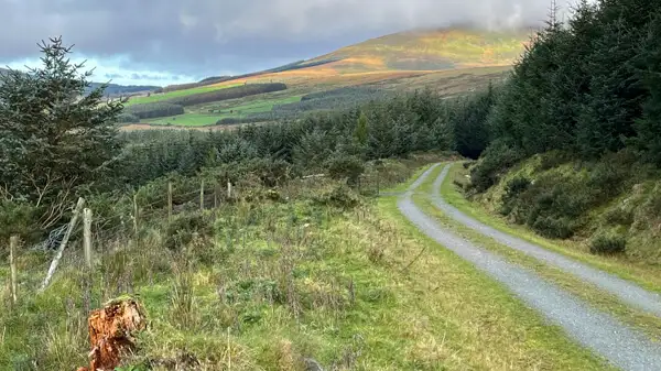 Wanderweg in den Wicklow Mountains