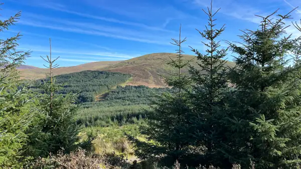 Wicklow Mountains