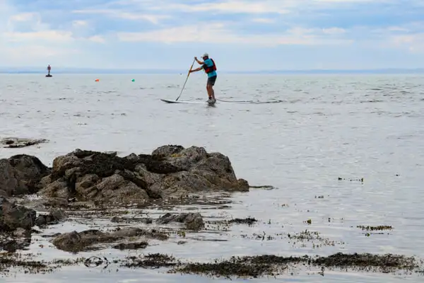 Standup-Paddler