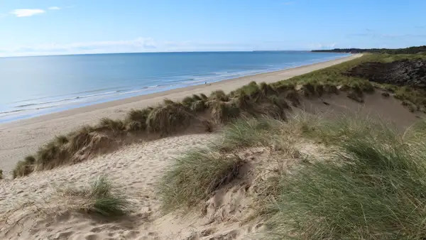 In den Dünen von Curracloe Beach