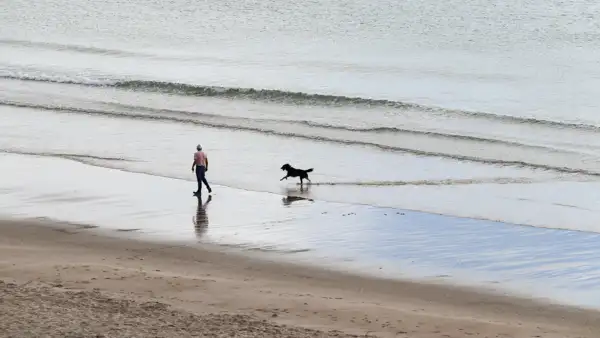 Mann und Hund am Strand