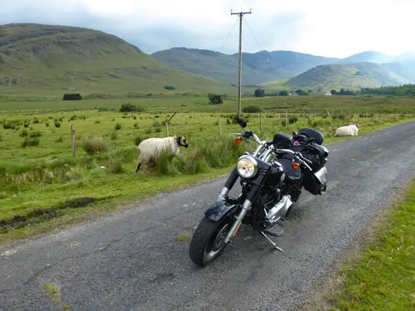 Motorrad und Schafe auf der Straße in den Bergen von Mayo