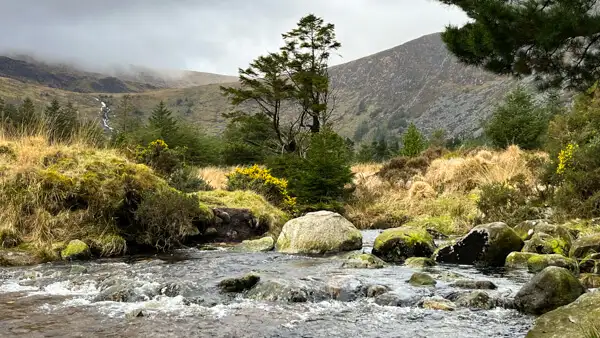 Bach in den Wicklow Mountains