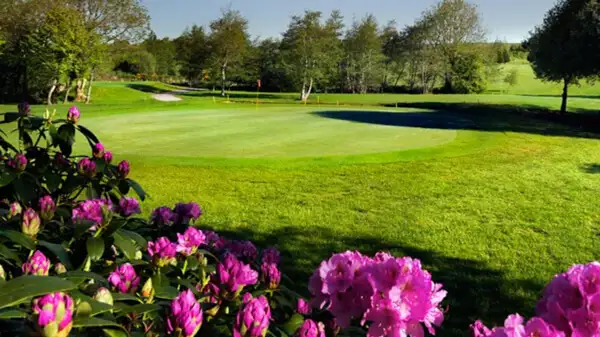 Foto: kinsalegolf.ie