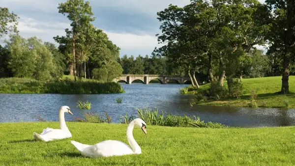 Foto: luttrellstowncastle.com