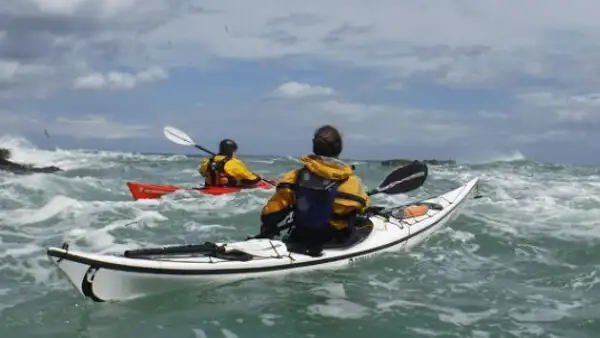 Foto: shearwaterseakayaking.ie