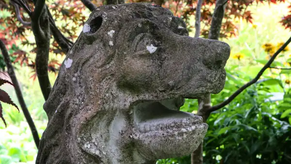 Löwen-Skulptur bei Belvedere House