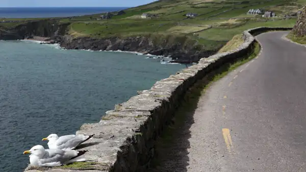 Am Slea Head Drive auf Dingle