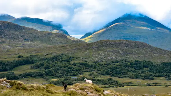 Berge bei Killarney