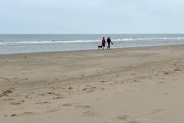 Paar mit Hund am Strand in Irland