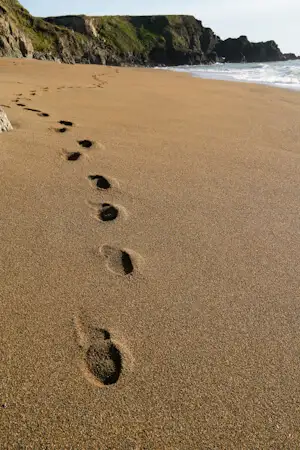 Spuren im Sand am Garrarus Beach