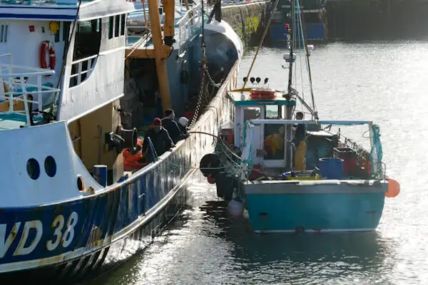 Fischer bei der Arbeit in Dunmore East