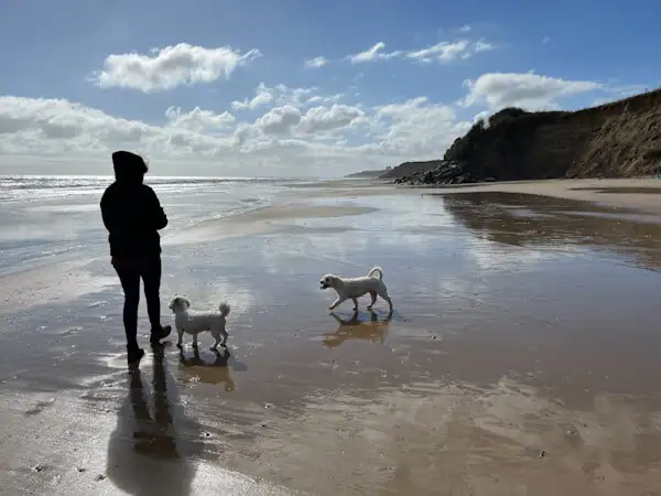 Beach walk