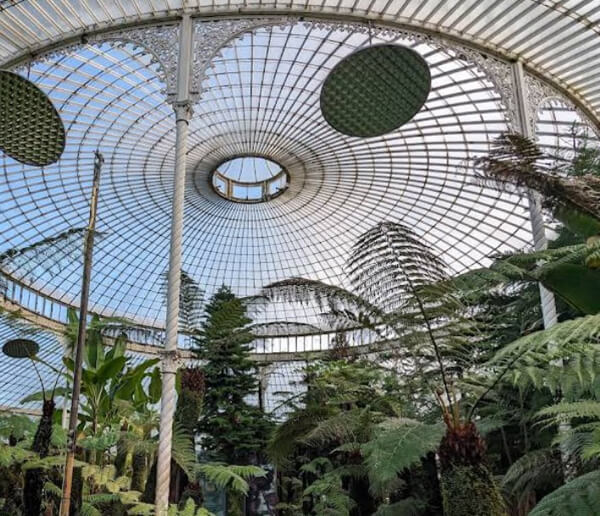 Glasgow Botanic Gardens