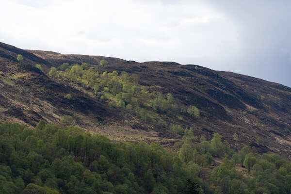 Berge am Caledonian Canal