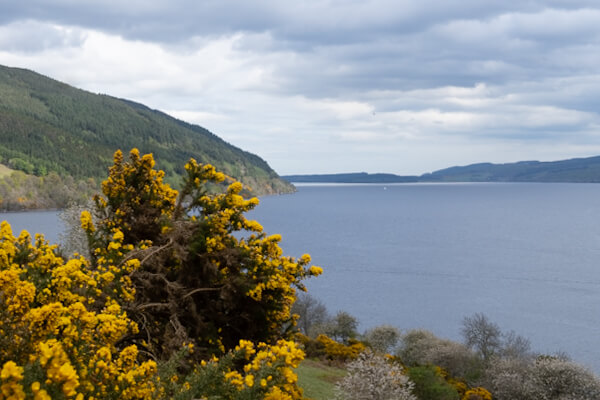 Blick auf den Loch Ness