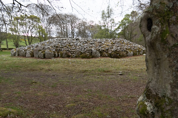 Mächtige Bäume und mächtige Steine (Clava Cairns)