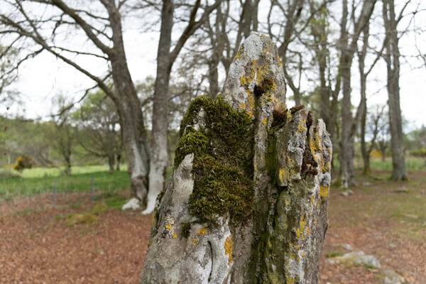Alt und verwittert, aber auch stark und beständig (Clava Cairns)