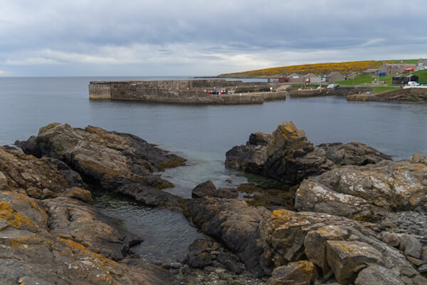Blick von den Klippen vor Portsoy Hafen