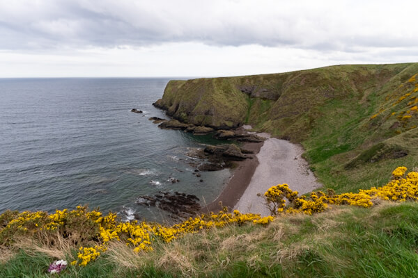 Strand beim Dunnottar Castle