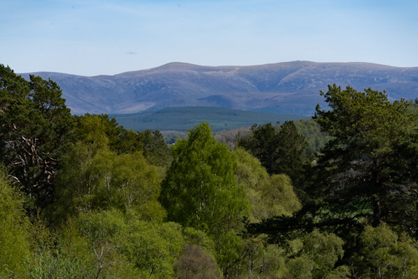 Blick in die östlichen Highlands