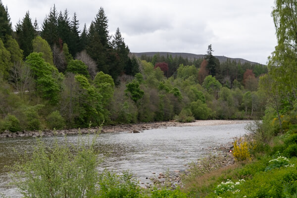 Am River Dee