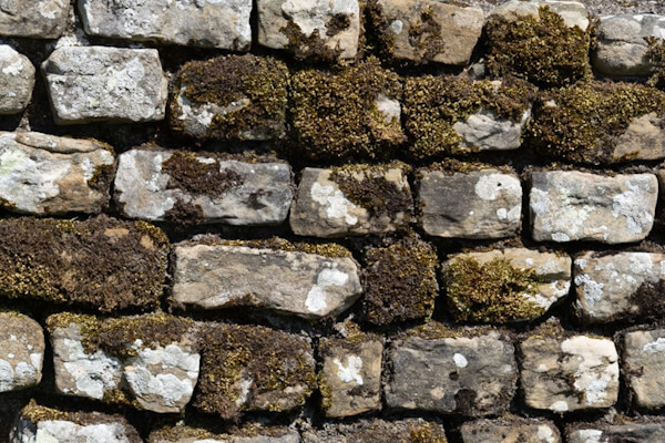 Sauber gearbeitete Mauer des Hadrianswalls
