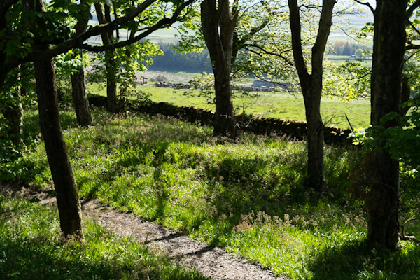 Wanderweg am Hadrianswall