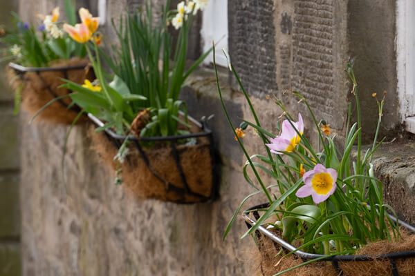 Blumenschmuck an Häusern