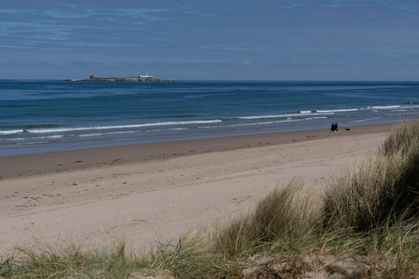 Blick auf die Farne Islands bei Bamburgh Castle