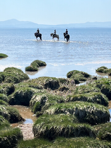 Strand-Reiter an der Südwestküste