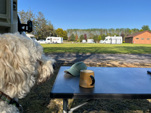 Hunde sind fast überall auf den Campingplätzen erlaubt