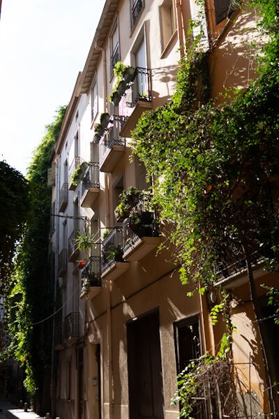 Grüne Fassade (Perpignan)