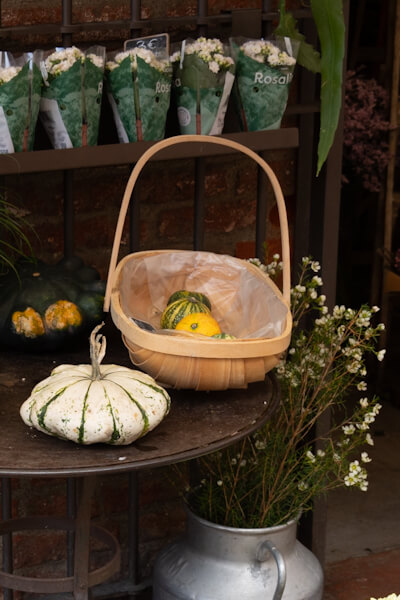 Details an einem Blumenladen (Perpignan)