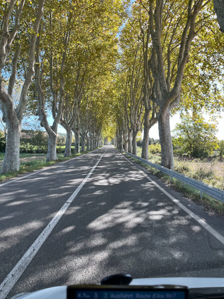 Schöne Allee in der Provence (Wohnmobil Camping in Frankreich)