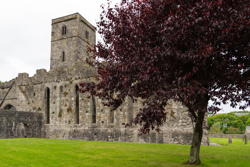Sligo Abbey